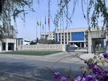 春染西保园 奋进正当时